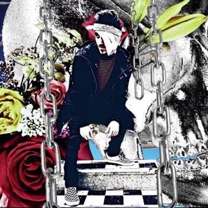 Meet your Posher, Elvis